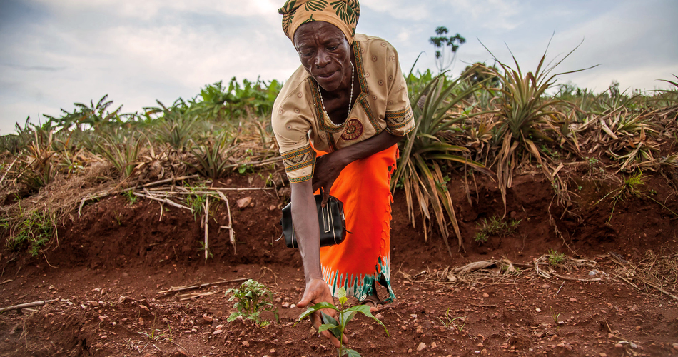 INVESTING IN FARMERS